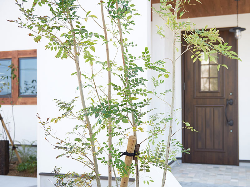 香川県高松市の分譲地・戸建・新築注文住宅ならNKの家｜エヌケー建設